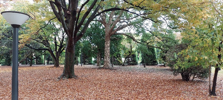 20221113_140718_copy_800x360