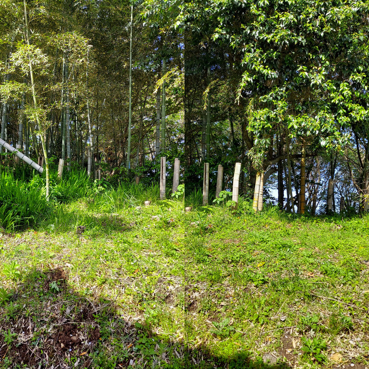 Inshot_20230413_213925024