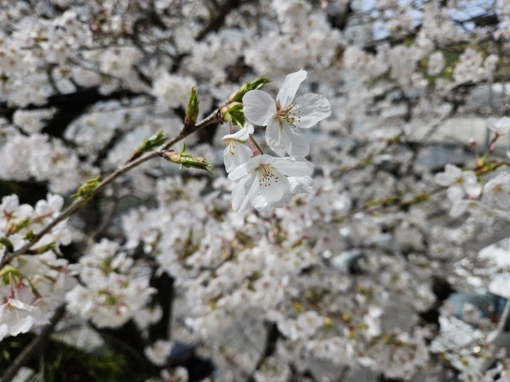 20240330_104749_copy_1024x768