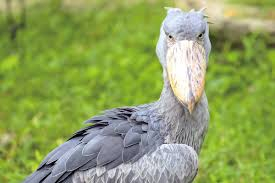 05948675cf6c41259655ac51f6647b34