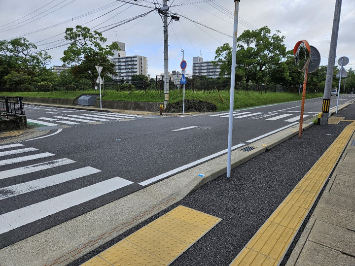 20240717_065624_copy_1000x750_1