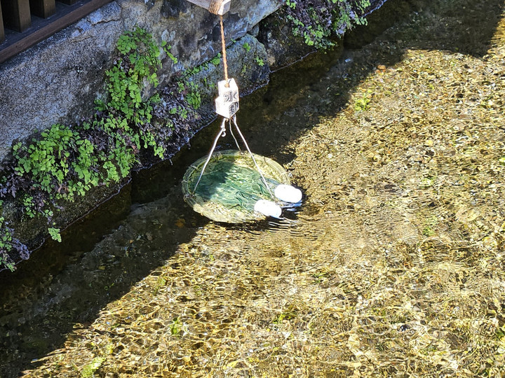 20240803_150720_copy_1600x1200