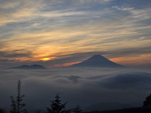 20250829_052207_1 20250829_052207_1